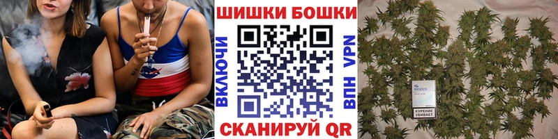 Продажа наркотиков Сосновоборск Канабис  Cocaine  Альфа ПВП  ГАШ 