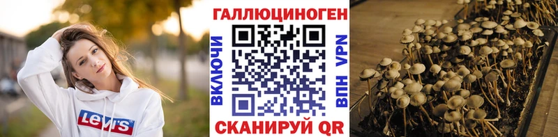 Псилоцибиновые грибы прущие грибы Сосновоборск